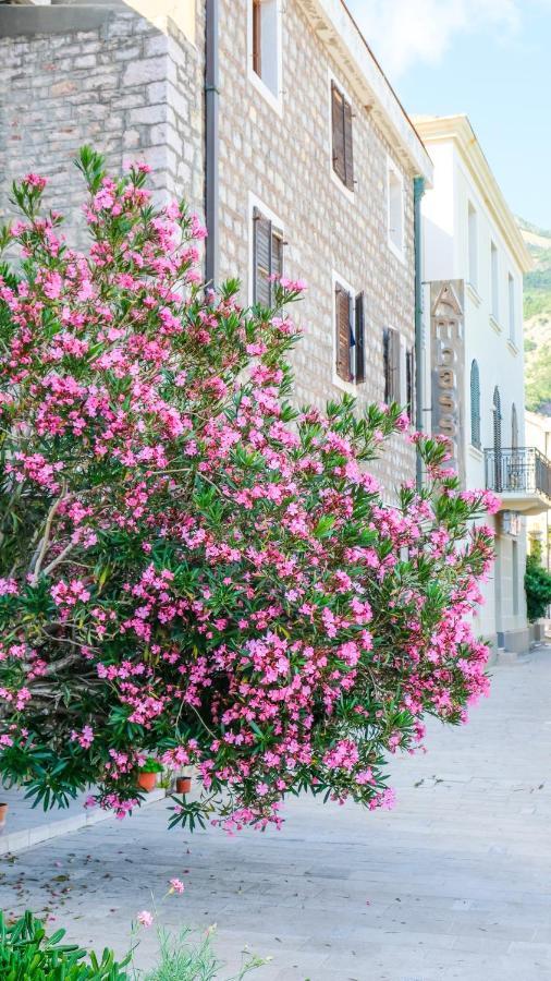Apartments First Line Petrovac エクステリア 写真